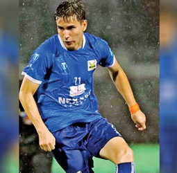 Pelicans soar over Matara