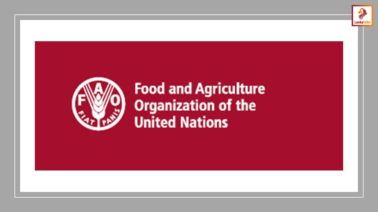 For Ditwah recovery, food security: FAO makes international appeal