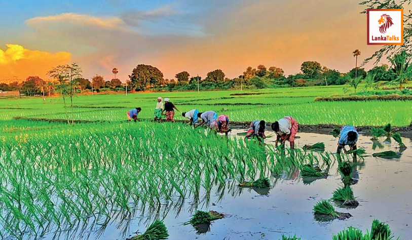 Food and Financial Self-Sufficiency: The key to survival in an increasingly unstable world