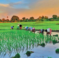 Food and Financial Self-Sufficiency: The key to survival in an increasingly unstable world