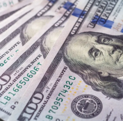 External sector: Remittances posts historic high performance in 2025