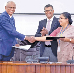 Customs, Inland Revenue  to conduct investigations through  joint mechanism