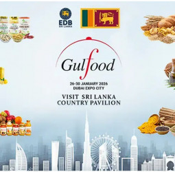 Export Promotion: SL to be platformed at Gulfood 2026