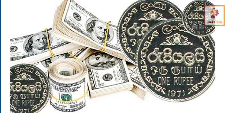 Dollar rate today : Selling rate steady at Rs. 313