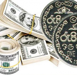 Dollar rate today : Selling rate steady at Rs. 313