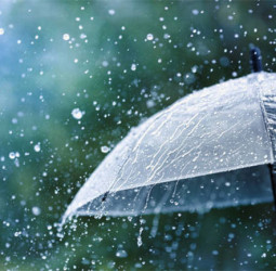 Showers above 50 mm expected in Eastern, Uva and Sabaragamuwa provinces