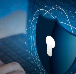 Police Roll Out New Drive to Tackle Rising Online Fraud