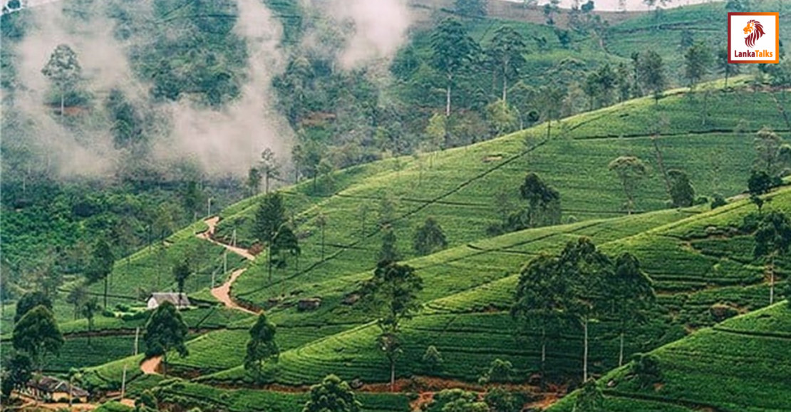 Nuwara Eliya records lowest temperature today