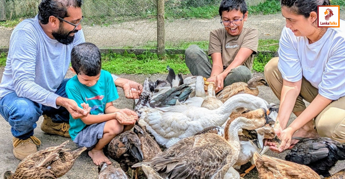 Panda Farmacy announces reopening following months of restoration after Cyclone Ditwah