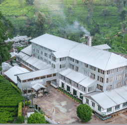 Somerset estate: A continuity that never faded
