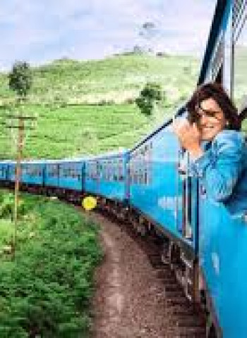 SL tourism posts strong rebound