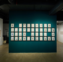 Now Showing at Saskia Fernando Gallery: The Way You Like It by Thisath Thoradeniya