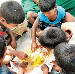 20% of Sri Lankan schoolchildren affected by malnutrition
