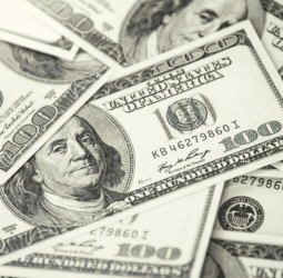 US dollar selling rate rises above Rs. 336