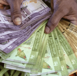 Currency fluctuations: LKR weakens, gains against INR