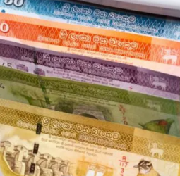 External pressures: LKR records 5.4% dep