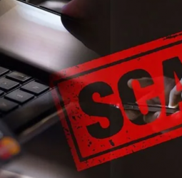 Over 360 online financial fraud cases reported in one month