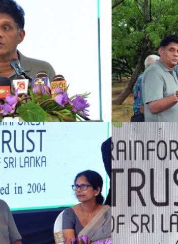 Rainforest Trust of Sri Lanka hosts ‘Ceremonial Dedication to the Public of Name Boards of Trees’