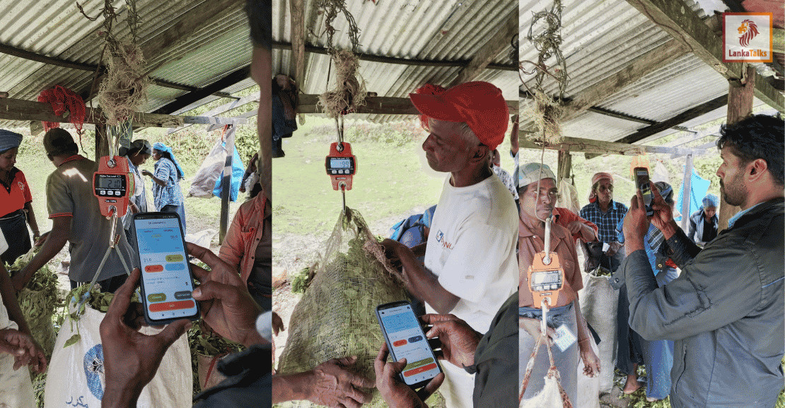 Agrithmics powers Goomera Estate digital transformation as landmark first for Sri Lanka’s State‑Owned plantations