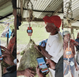 Agrithmics powers Goomera Estate digital transformation as landmark first for Sri Lanka’s State‑Owned plantations