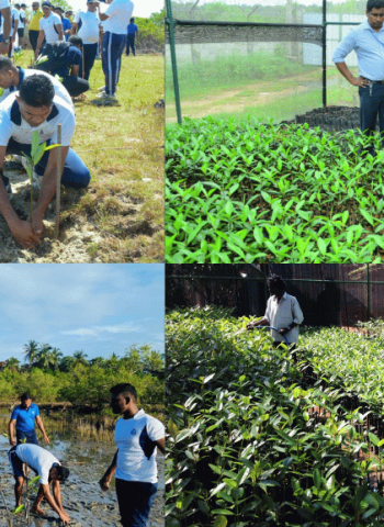 Tokyo Cement Marks World Environment Day with 100,000 Mangroves for a Greener Sri Lanka