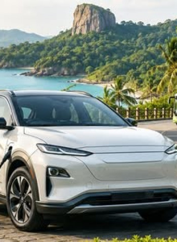 Sri Lanka mulls making tourist spots zero emission zones