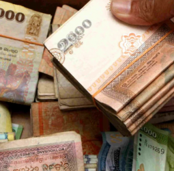 External debt rise not solely due to rupee drop
