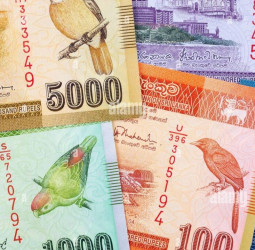 Sri Lanka rupee stronger, bond yields edge up