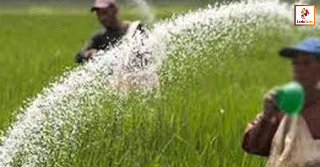 Fertilizer shortage threatens Yala paddy cultivation: Farmers’ Union warns