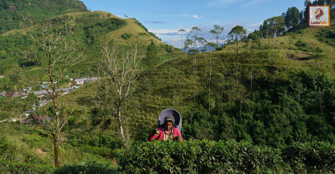 Sri Lanka’s tourism, tea, textile shares suffer after Gulf escalation