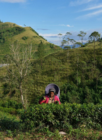 Sri Lanka’s tourism, tea, textile shares suffer after Gulf escalation