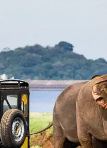 Sri Lanka nears 700,000 tourist arrivals