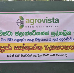 Agrovista Plantation launches ‘One Million Trees for the Motherland by 2030’ initiative