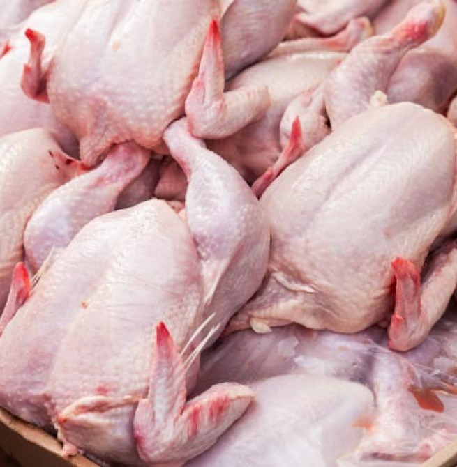 SLAAP assures consistent chicken supply ahead of festive season