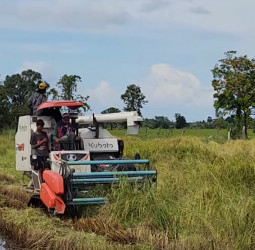 Sri Lanka bypasses QR restrictions for agriculture