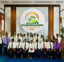 CDP Group – Building a Diversified Business Network for the Future