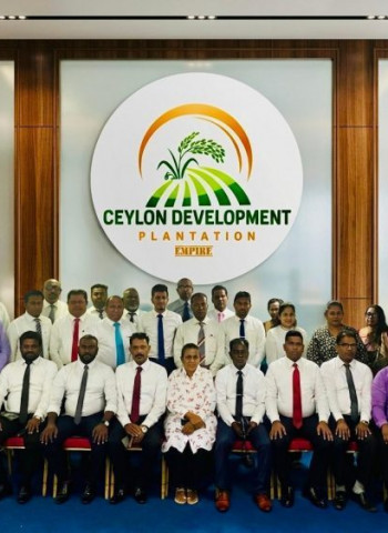 CDP Group – Building a Diversified Business Network for the Future