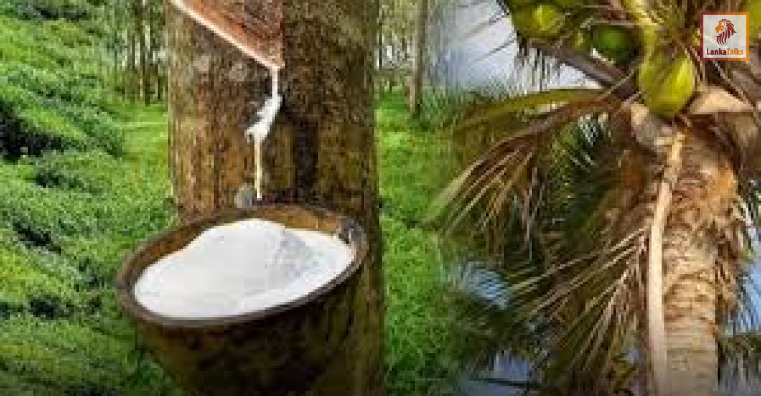 Sri Lanka cabinet clears relief package for disaster-affected export crops