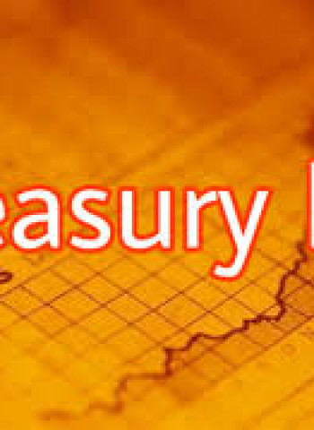 Sri Lanka Treasury bill yields flat, half of offered bills sold