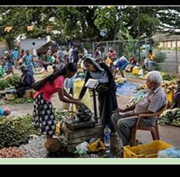 Food inflation in CMB drops in Feb.