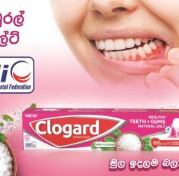 This World Oral Health Day, are you paying enough attention to your gums? Do it right from the start