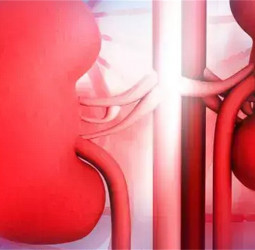 5,000 end-stage renal patients per annum