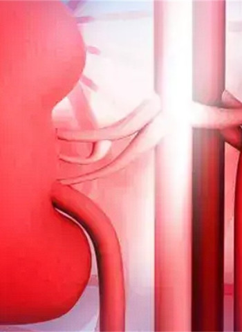 5,000 end-stage renal patients per annum