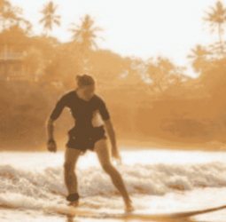 Sri Lanka February tourism revenue down 4.3 pct