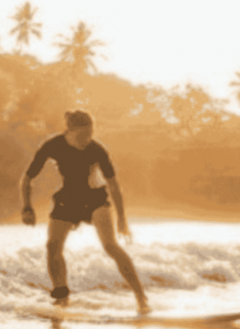 Sri Lanka February tourism revenue down 4.3 pct