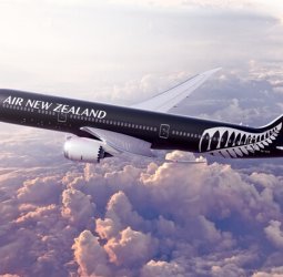 Airlines start broader fare hikes on fuel price surge, shares stabilise