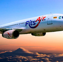 Limited flights resume to UAE