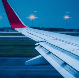 Air travel to Sri Lanka shows slight recovery