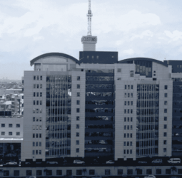 Quick turnaround for Customs examination yard unlikely?