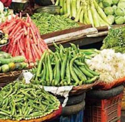 Demand for vegetables drops amid fuel price hike: Traders